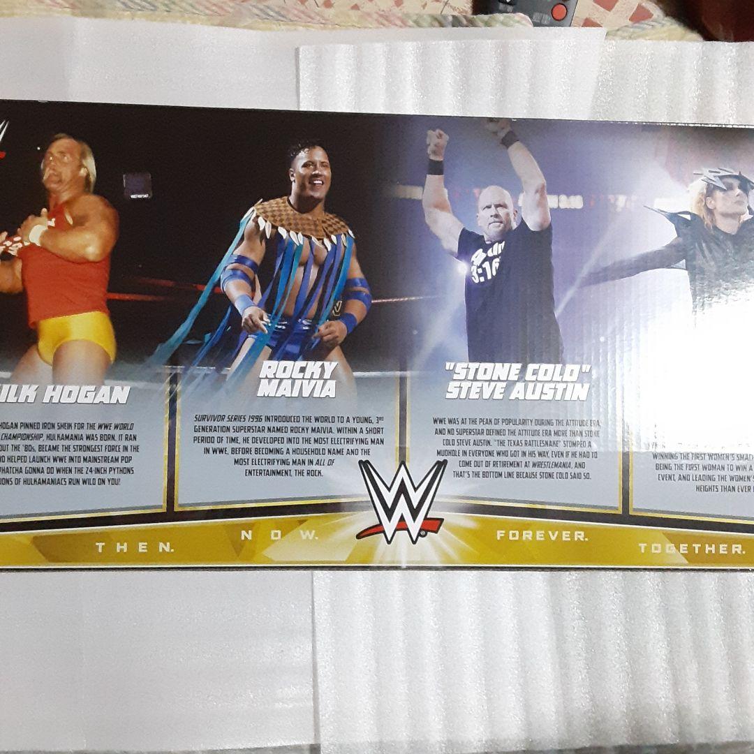 ハルクホーガン　オースチン　ロック　フィギュア　限定BOX WWE プロレス