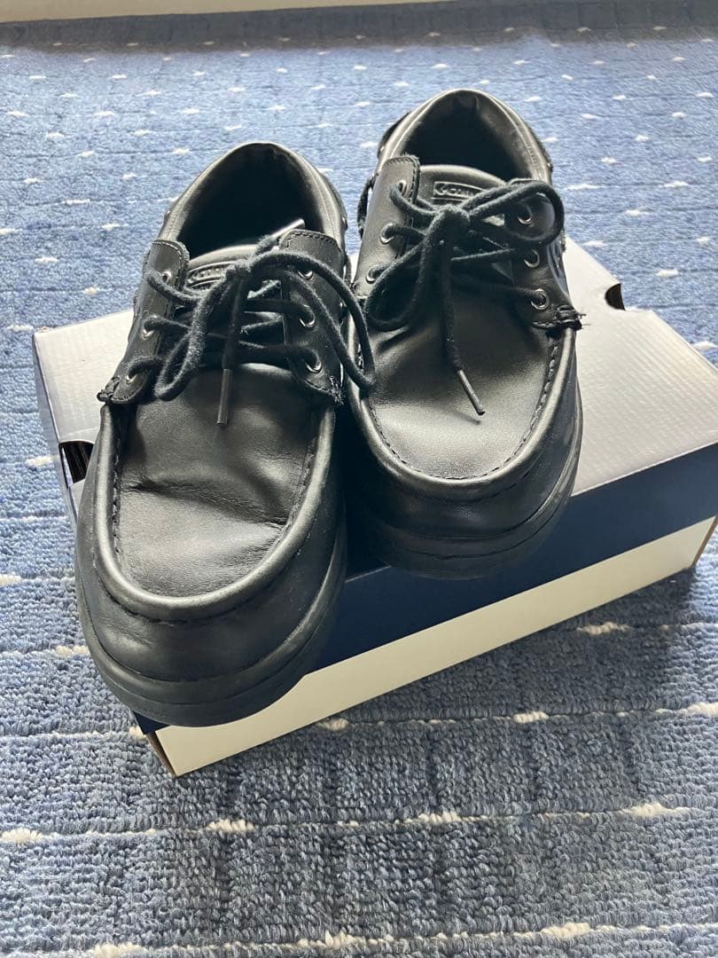 DECKSTAR SK BoTT + / デッキスター 7/25.0cm