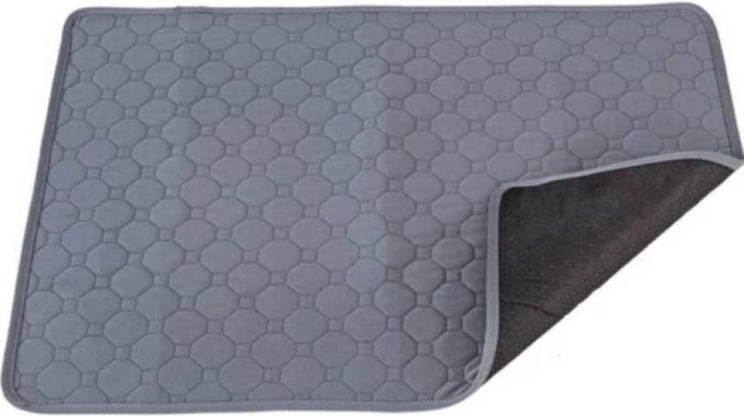 ペットシーツ シート トイレ おしっこマット 犬猫　 洗える　2枚　ベージュ