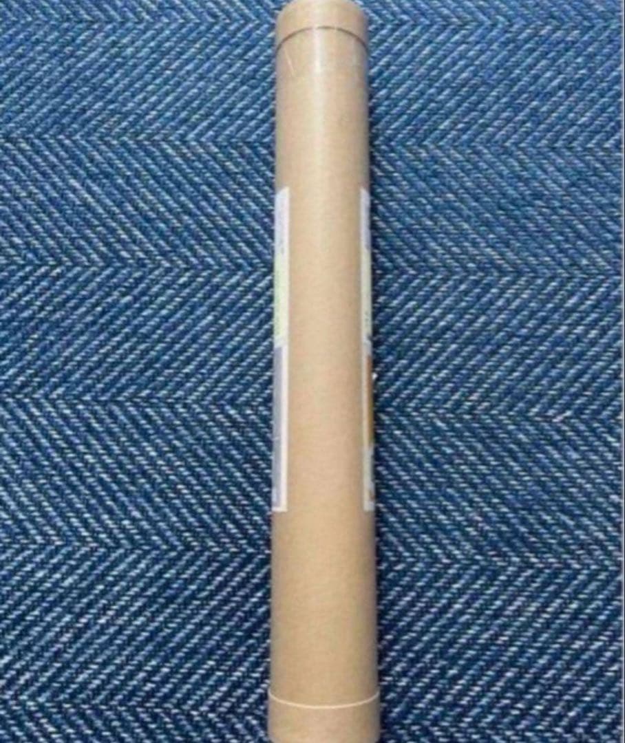 新品 大友昇平 平成聖母 ポスター A2サイズ 正規品 Heisei Mary