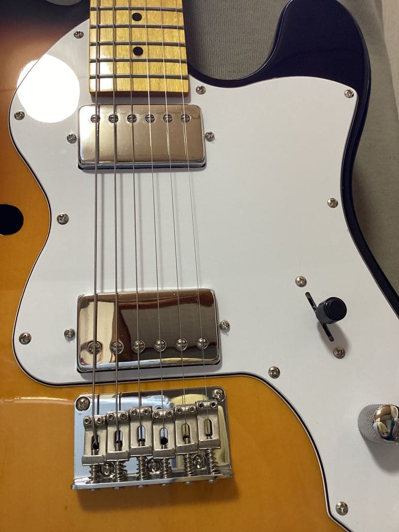 donner テレキャスター シンライン エレキギター ２ハムバッカー