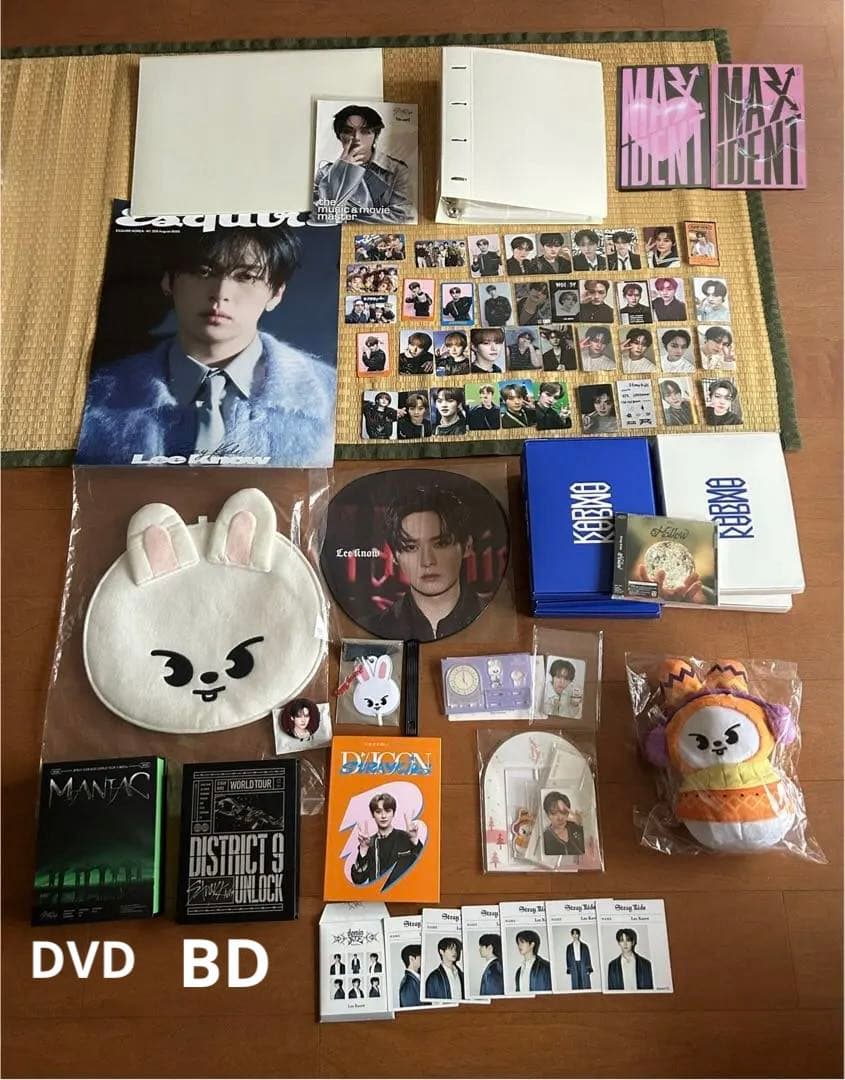 週末値下げ StrayKids リノ トレカ リービット グッズ CD DVD