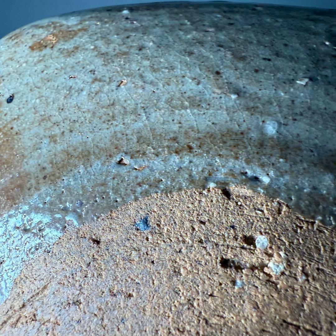 浜本洋好　造　絵唐津　草文様四方皿　大向付　六客　土を楽しむ　料理屋　雰囲気◎