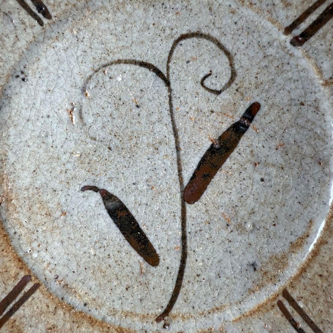 浜本洋好　造　絵唐津　草文様四方皿　大向付　六客　土を楽しむ　料理屋　雰囲気◎