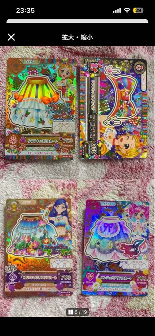 シャムタビー✨