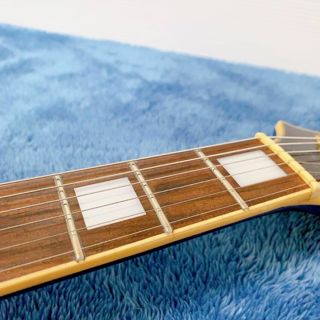 森のクマさん 専用Aria Pro Ⅱ PE-DLX パープル　※ギグバック付