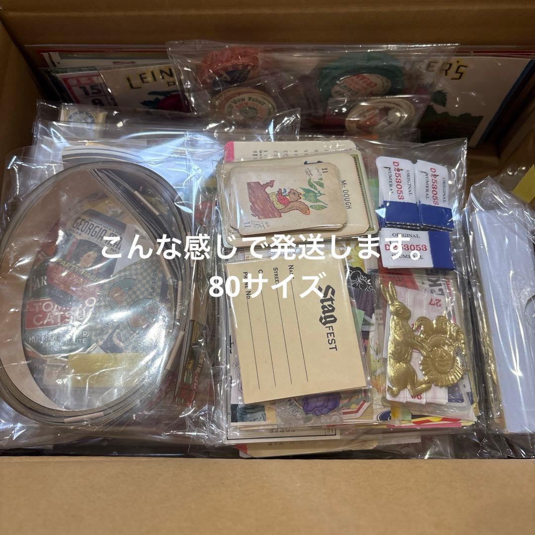 紙もの断捨離セット特大