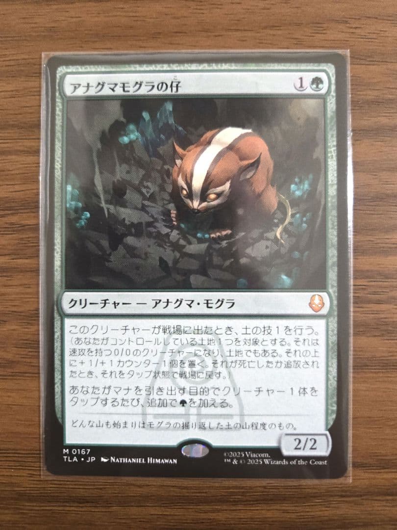 ラスト一枚【新品未使用】アナグマモグラの仔　日本語　アバター　伝説の少年アン