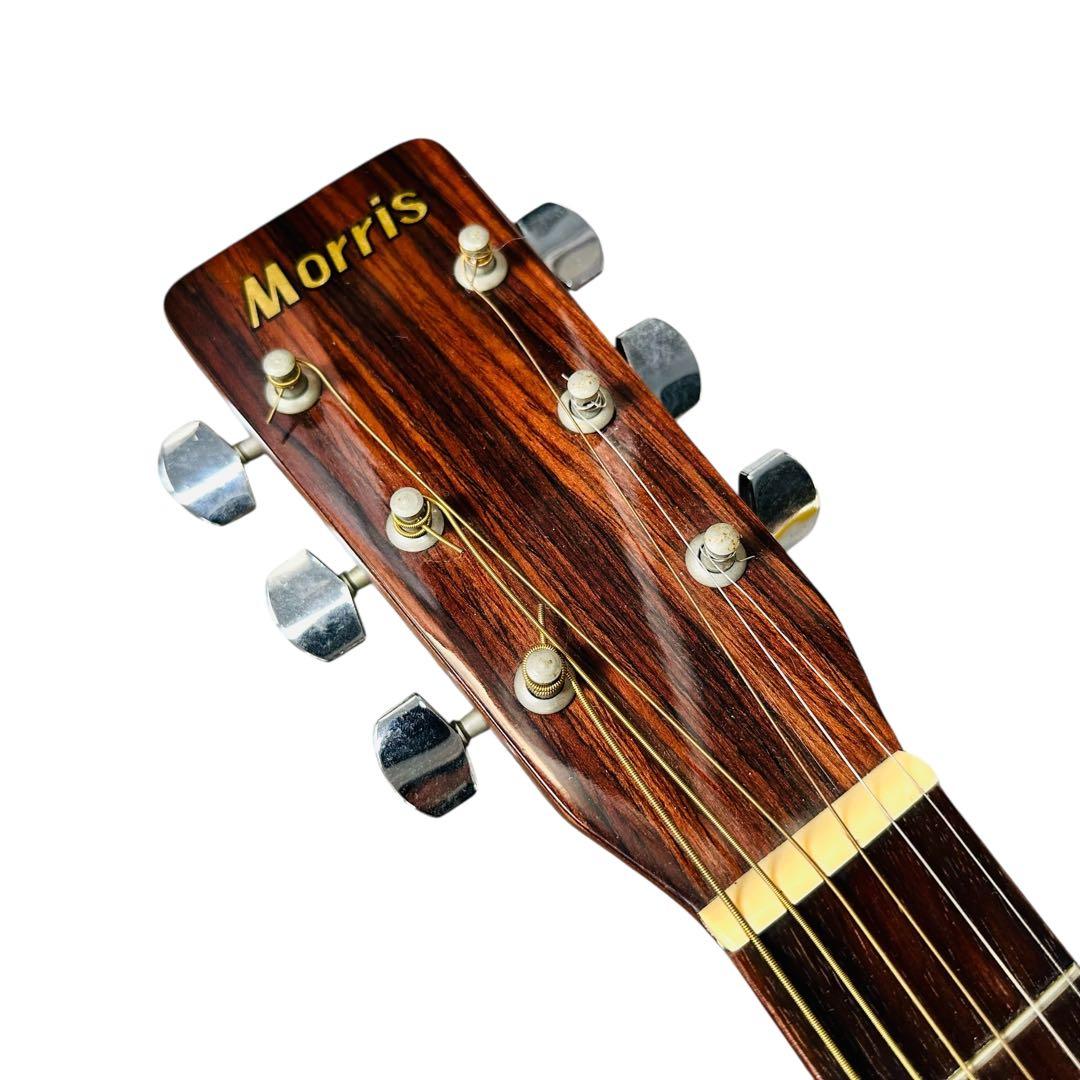 morris モーリス　MD-502 アコースティックギター
