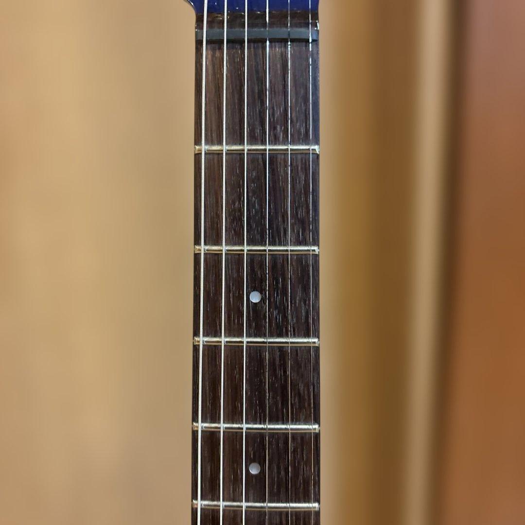 FERNANDES THE FUNCTION ストラトゴールドパーツ仕様アーム付