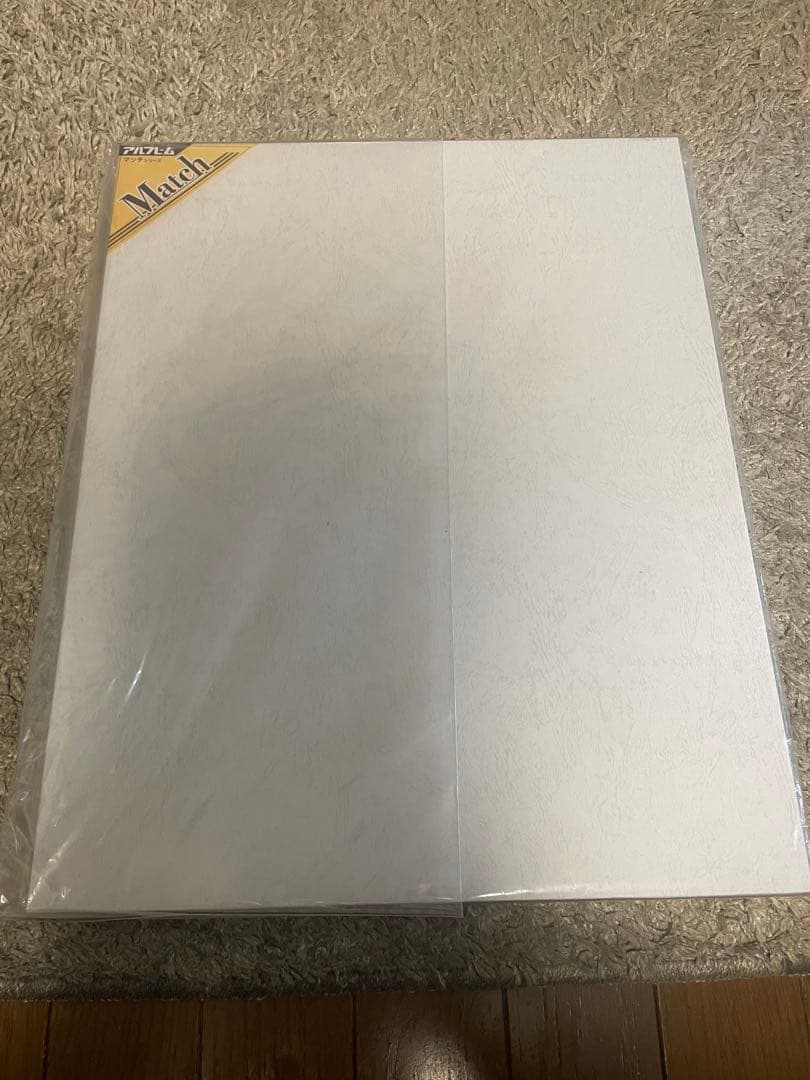 藤ちょこ 直筆サイン入り複製原画　ジークレー　叡智の部屋