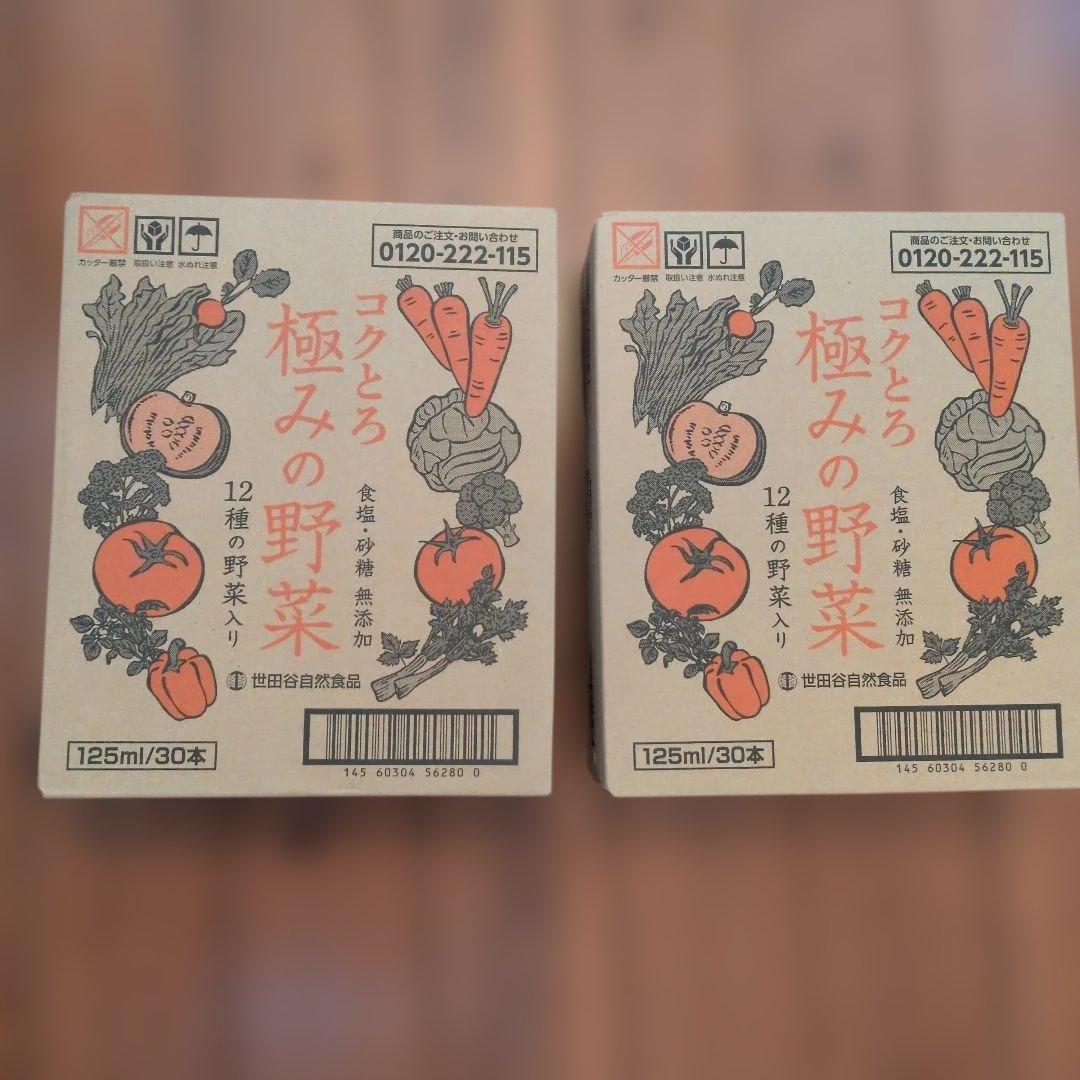 コクとろ極みの野菜 125ml 30本×２ケース（60本）