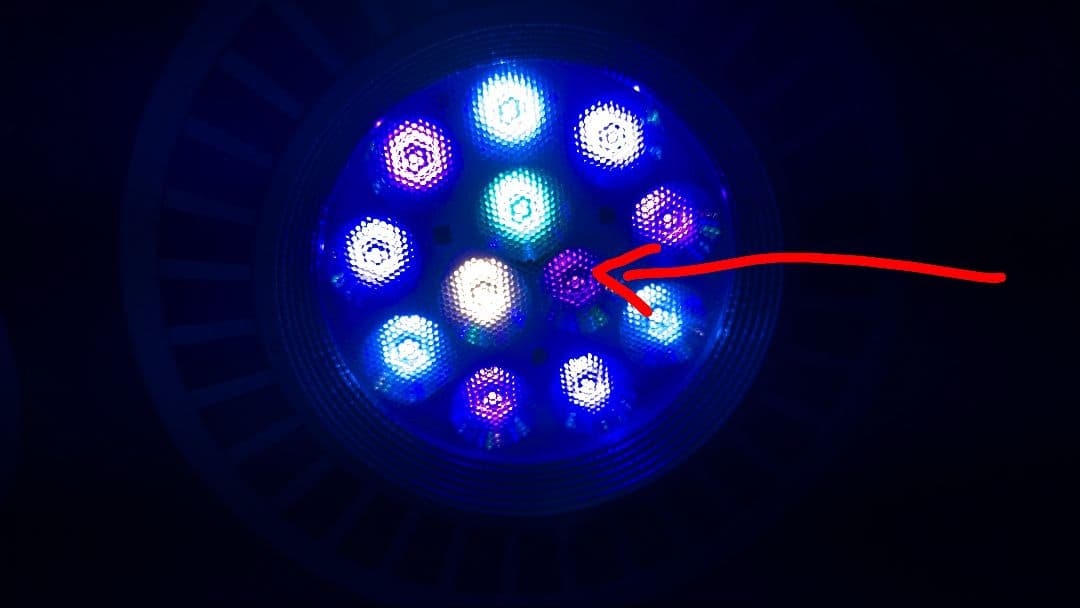 ボルクスジャパン　Ｇｒａｓｓｙ　ＬｅＤｉｏ　3個セット