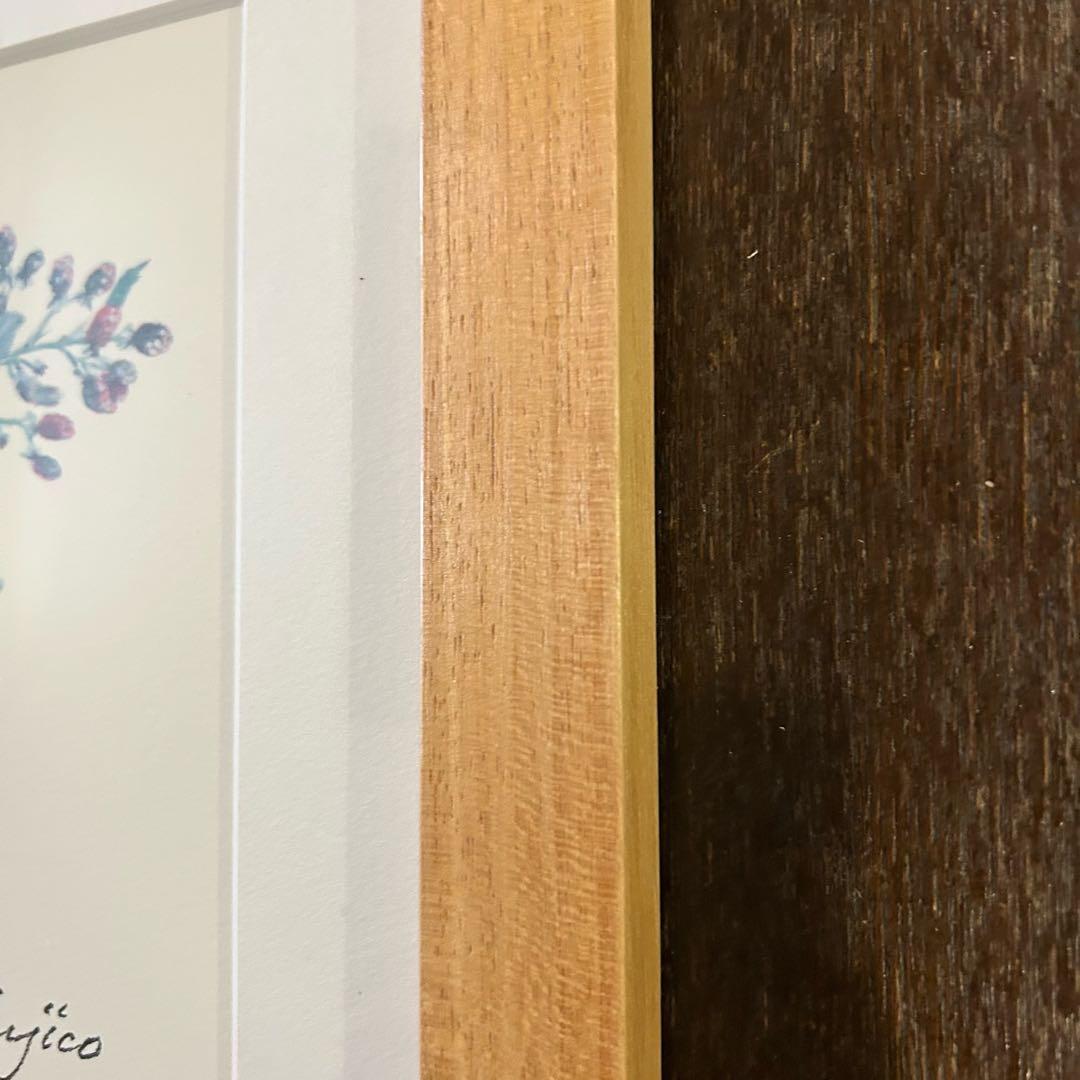 橋本 不二子 限定版画 エディション有り　額縁　ボタニカル　ナチュラル