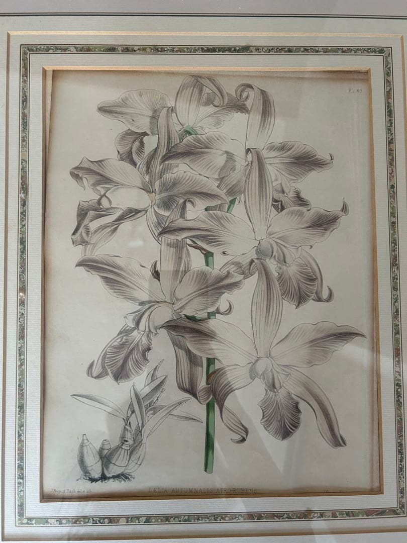 アンティーク　絵画　アート　額装