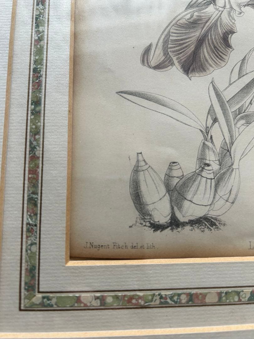 アンティーク　絵画　アート　額装