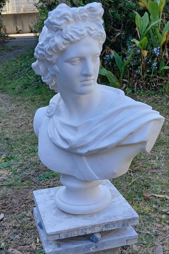 アポロ胸像　81cm