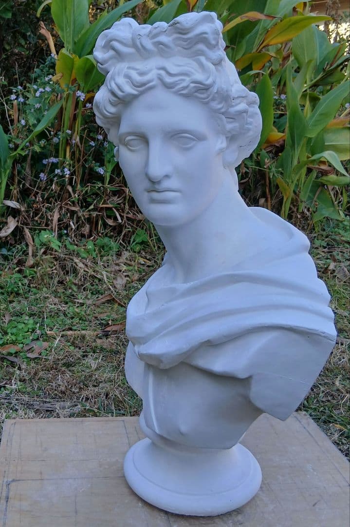 アポロ胸像　81cm