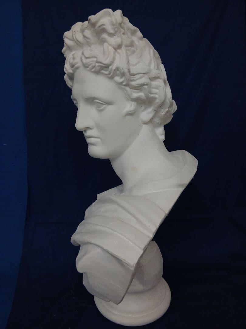 アポロ胸像　81cm
