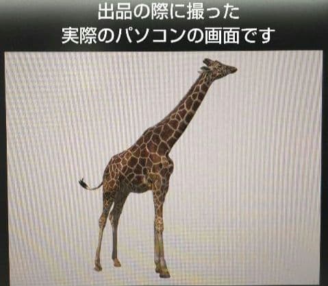 未開封多★グレンドーマンビッツの世界 CD-ROM全10巻＋関連本★9万円で購入