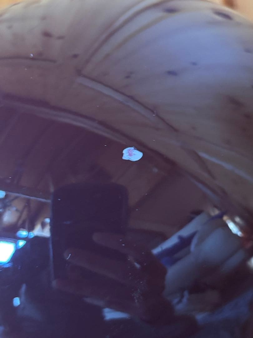 ⭐︎ オーシャンビートル　ショーティ　M Ocean Beetle