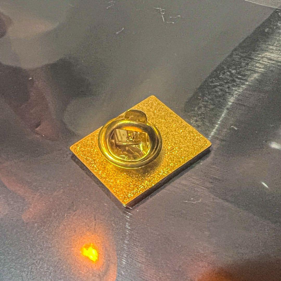 【カタカナ表記版/非売品】大阪関西万博/スイス館/関係者/ピンバッジ