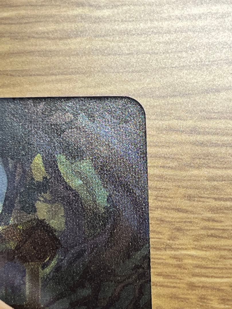 ディズニー　ロルカナ　白雪姫　井戸に願いを　エンチャンテッド