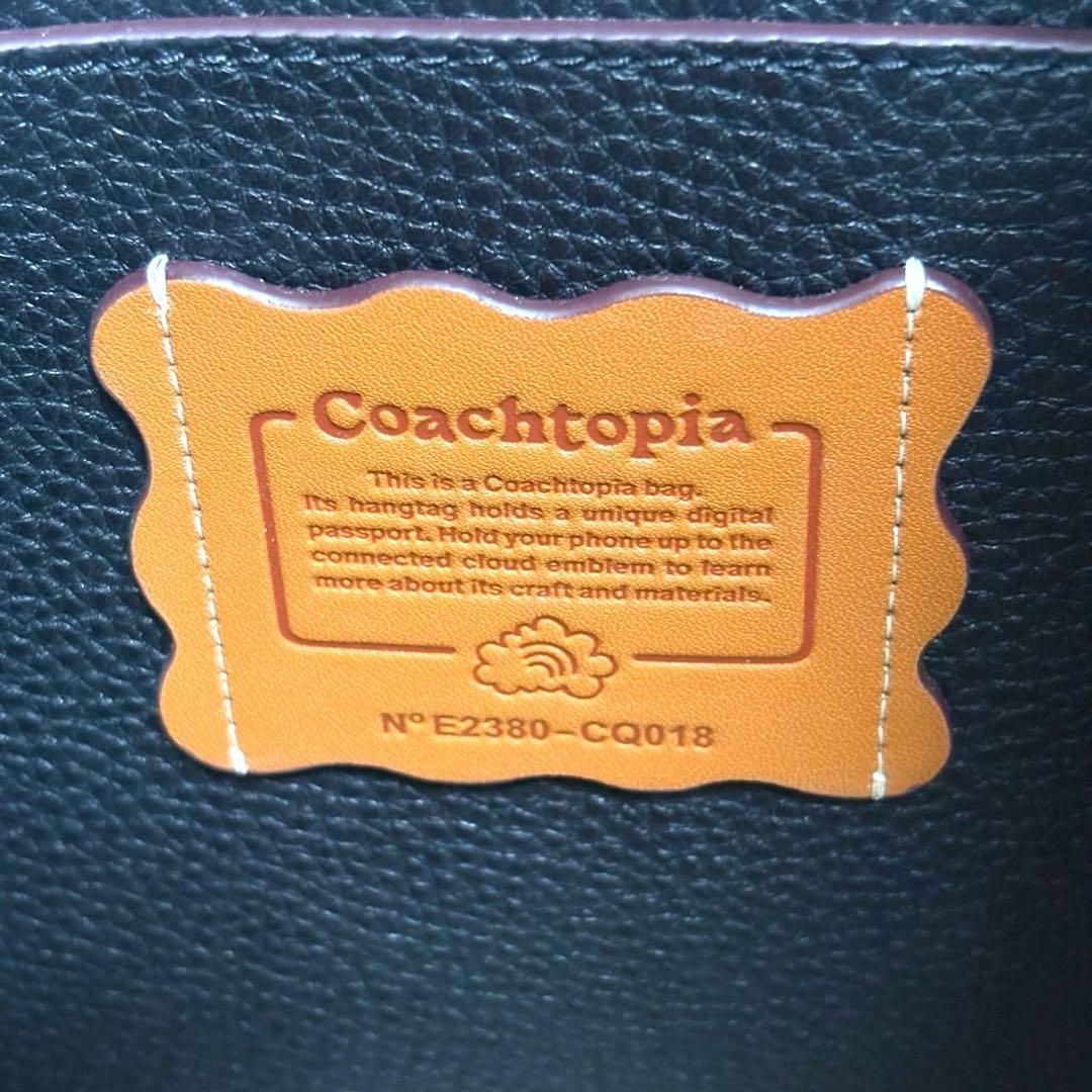 極美品✨コーチトピアエルゴレザーバッグ CQ018 ワンショルダー　完売品