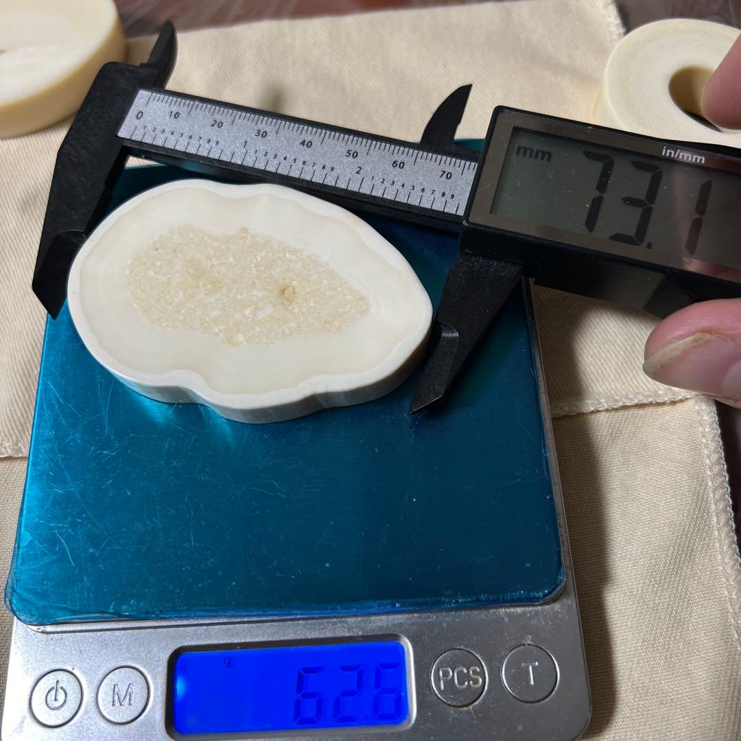 堤げ物 輪切り セイウチ 根付 54g 牙 饅頭