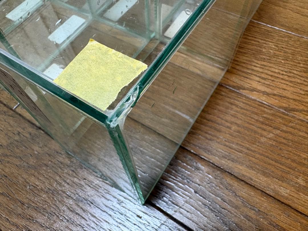 水作　コレクションケースセット　蓋つき