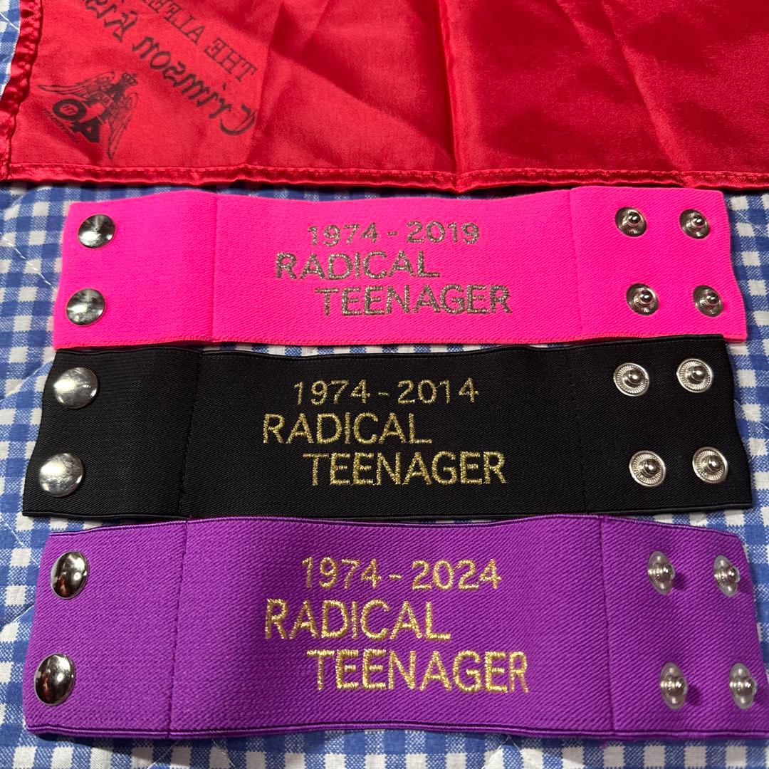 THE ALFEE 40周年 リストバンド ハンカチ