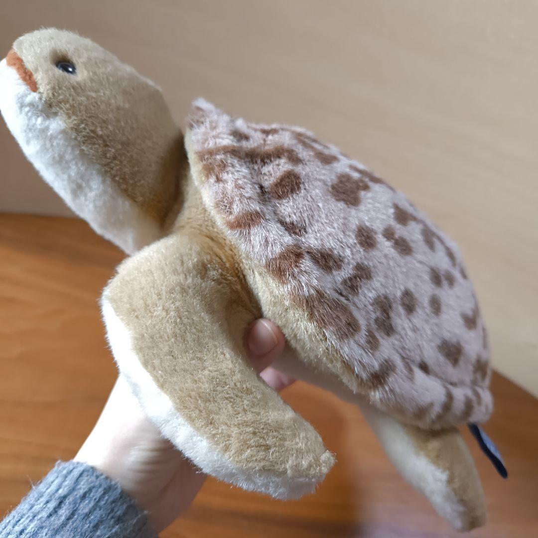 Earth Wind セキグチ　ウミガメ　ぬいぐるみ　アースウィンド　海亀