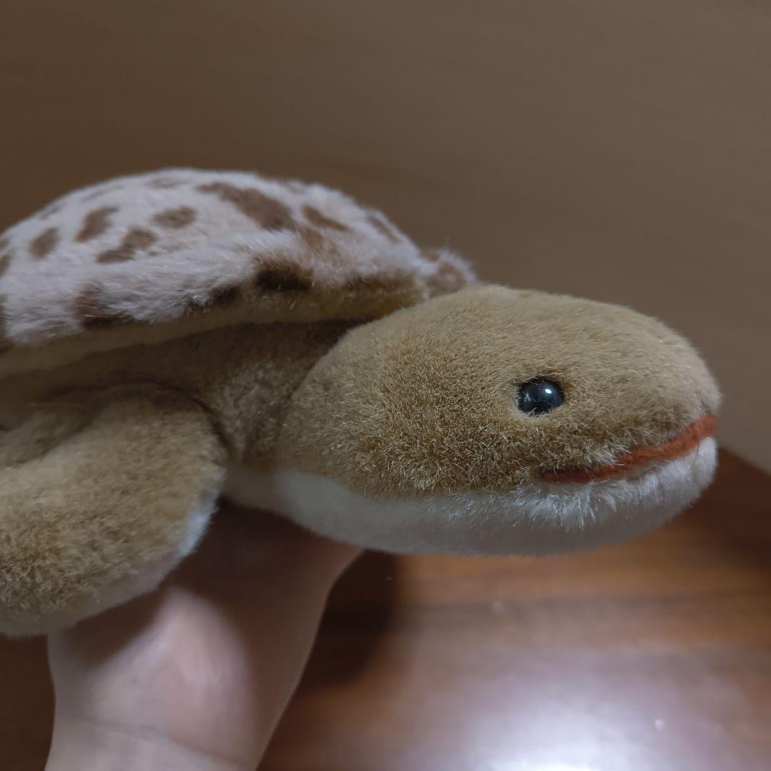 Earth Wind セキグチ　ウミガメ　ぬいぐるみ　アースウィンド　海亀