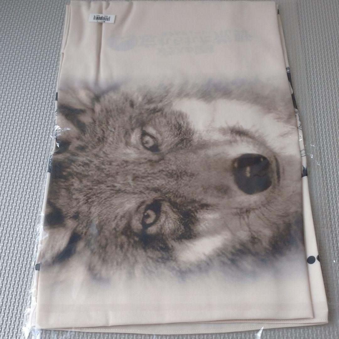 ガラスの仮面 忘れられた荒野-狼少女ジェーン- ストール