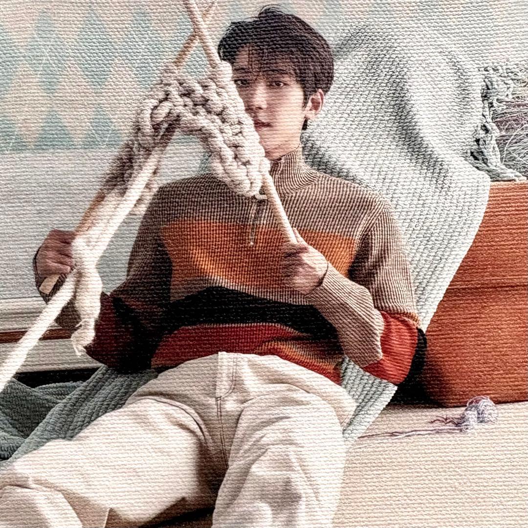 超希少‼︎ seventeen あいのちから キャンパス　フォトキャンバス ウォヌ