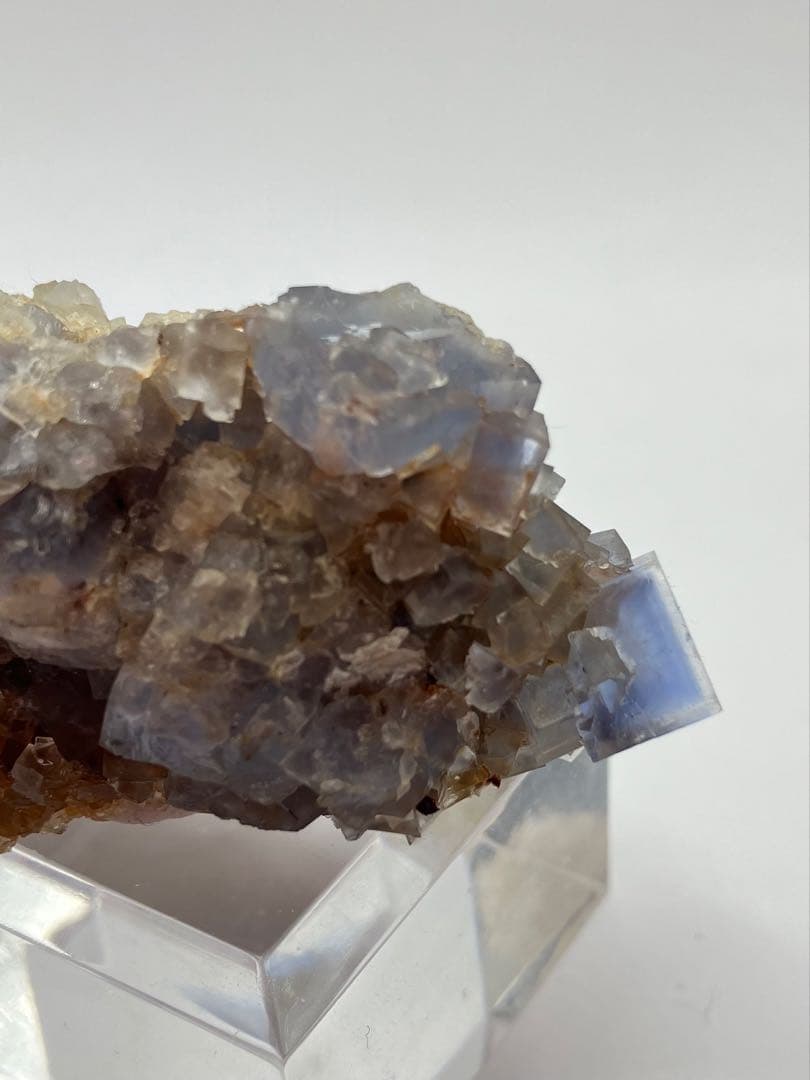 フローライト　ブラックフォレスト　黒い森