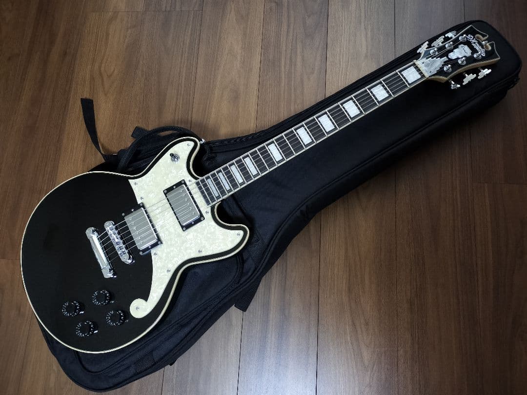 ほぼ未使用 D'angelico Premier Brighton Mod