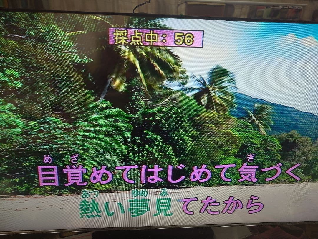 オンステージ パーソナルカラオケ Z-PK1200G・Z-PKD2