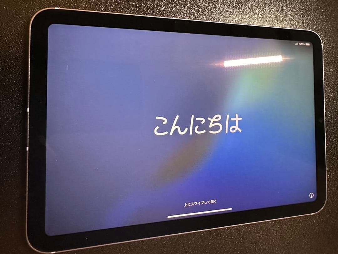 iPad mini(第6世代) 256GB Cellular SIMフリー