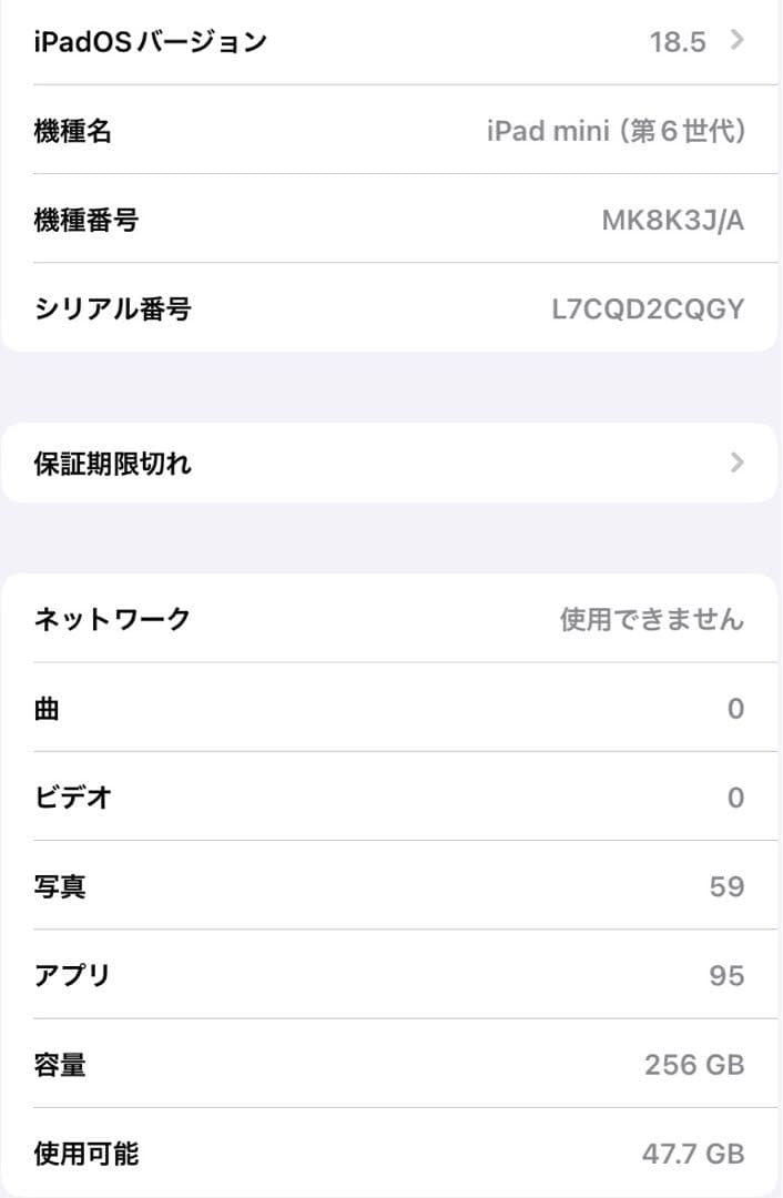 iPad mini(第6世代) 256GB Cellular SIMフリー