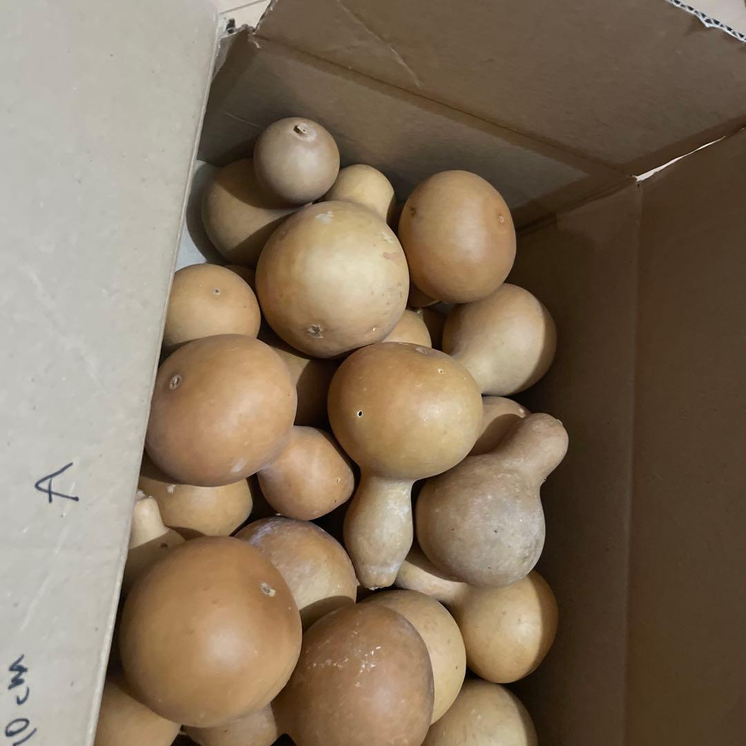 Toto★ひょうたん　瓢箪　千成瓢箪　まとめ売り　無病息災　置物　縁起物