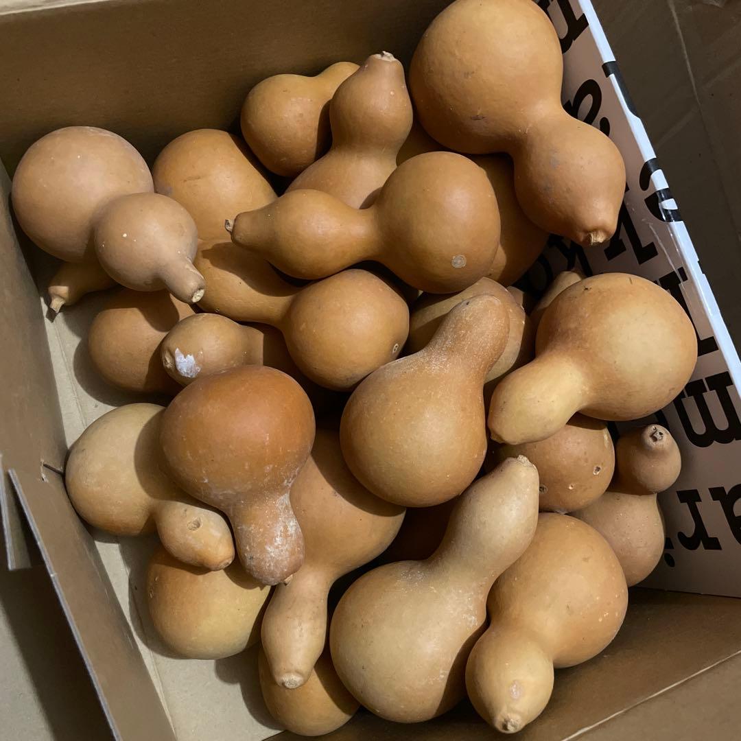 Toto★ひょうたん　瓢箪　千成瓢箪　まとめ売り　無病息災　置物　縁起物