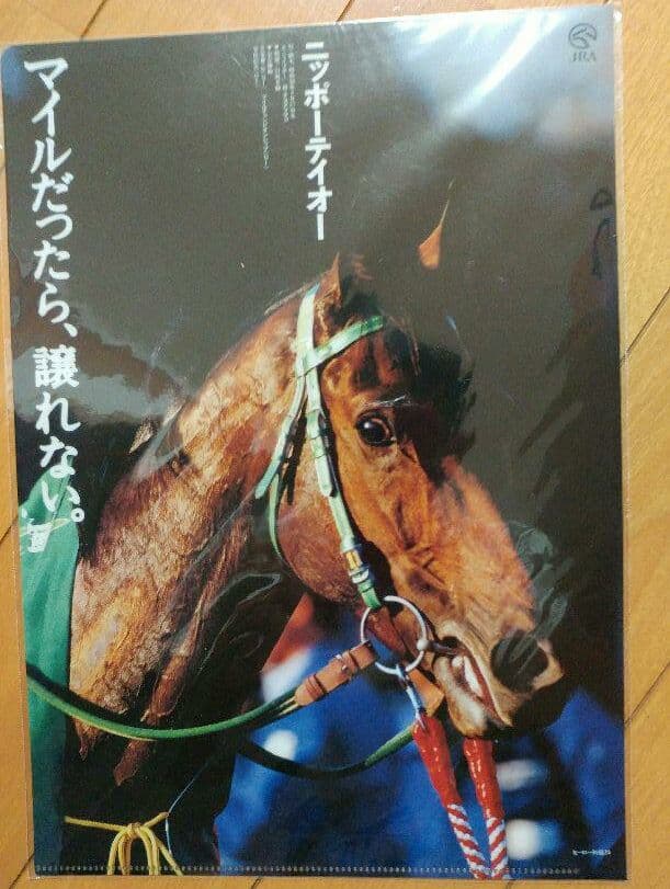 【最強マイラー】ニッポーテイオー　クリアファイル