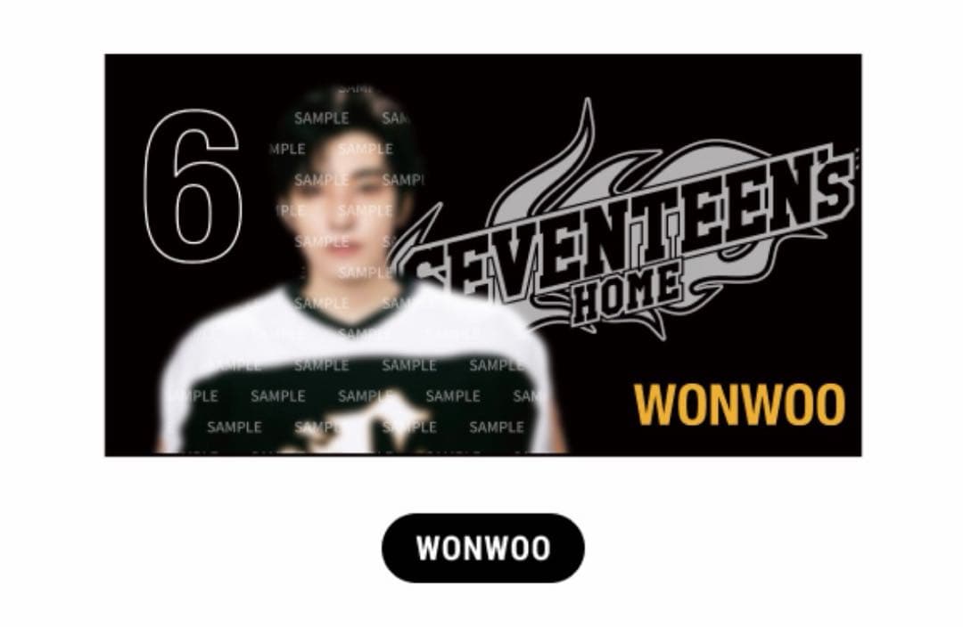 SEVENTEEN  ウォヌ WONWOO ミニフォト ブランケット