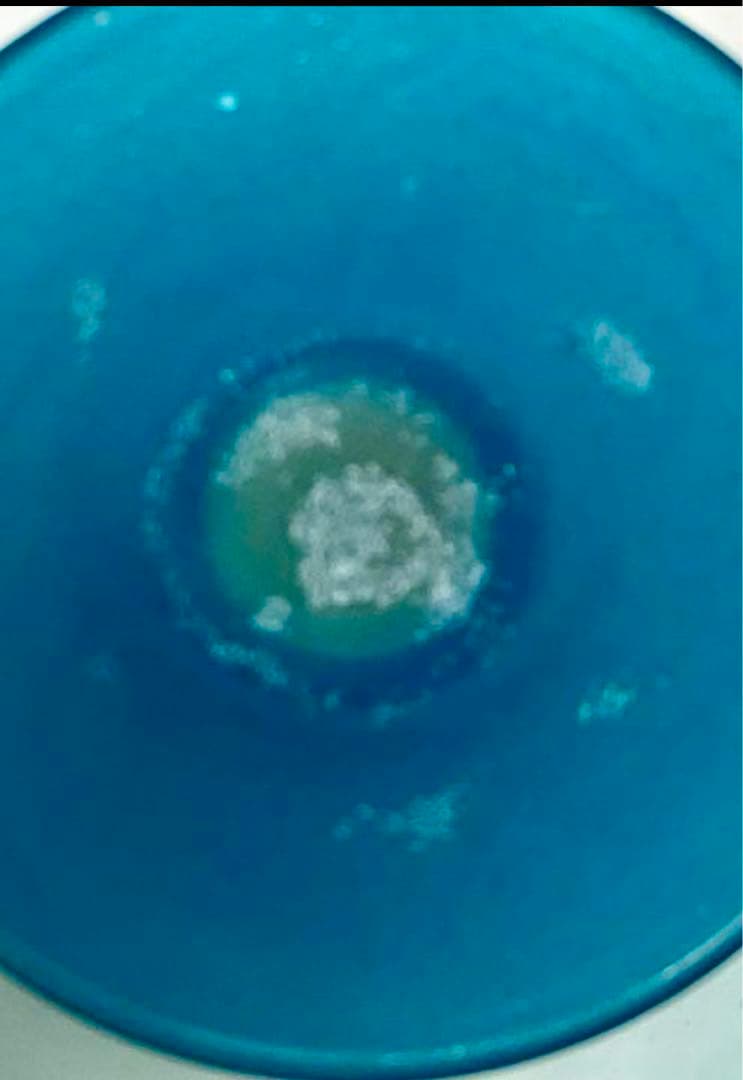 明治後期、大正ロマン コンポート　和ガラス ウランガラス