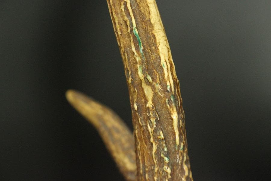 武具甲冑 讃岐 堆朱 刻 雲蝙蝠 鹿角 吉祥 刀掛(LC328)