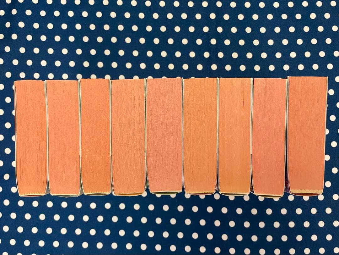 ニンジャスレイヤー　NINJA SLAYER 物理書籍　 全21巻セット