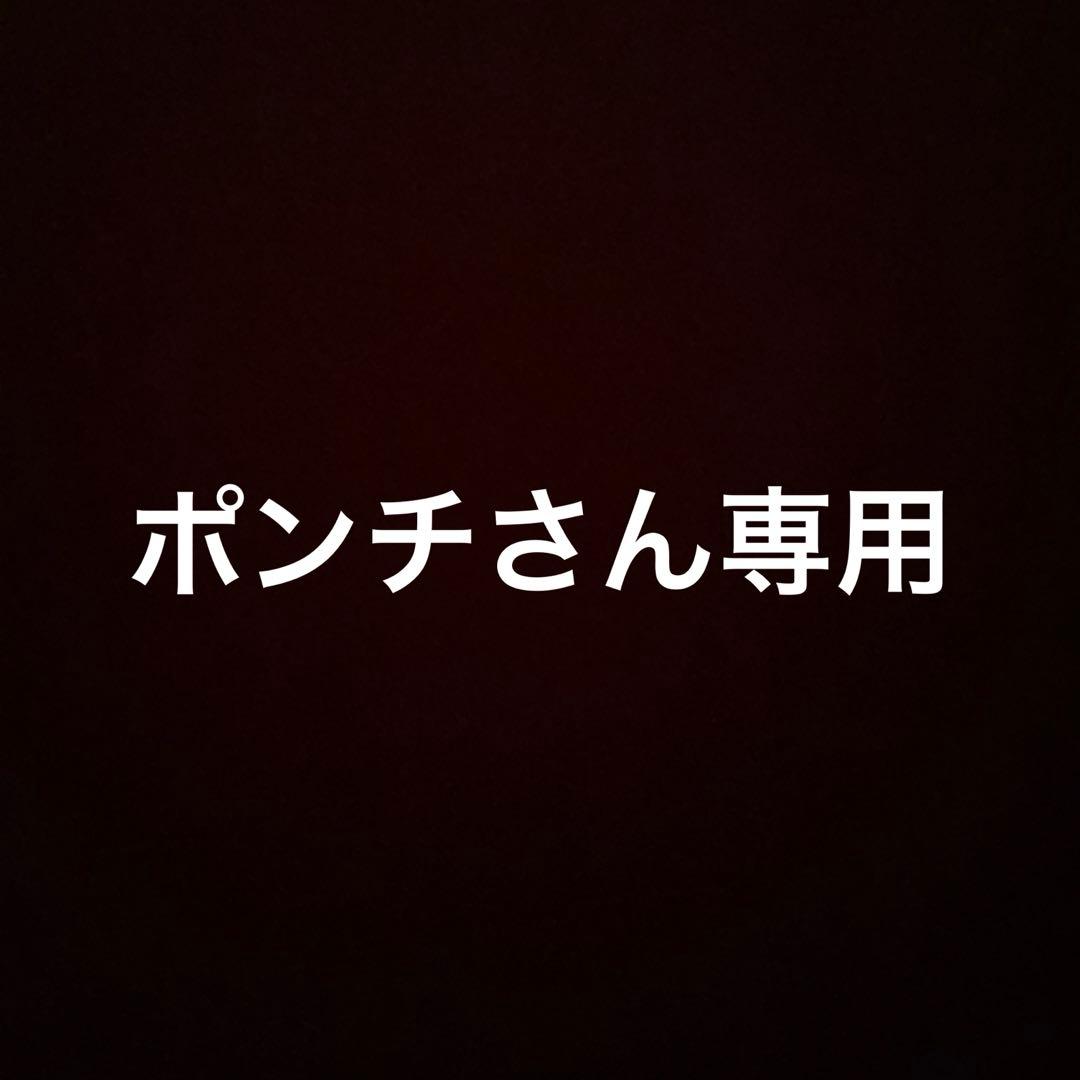 ポンチさん専用　マークスアルバム4冊セット