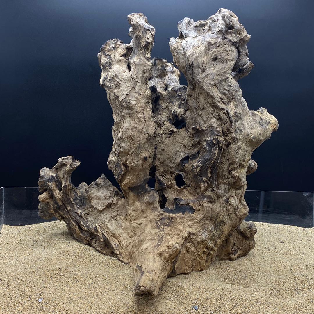 MJW-6617 ジンジャーウッド　天然流木　アクアリウム　爬虫類