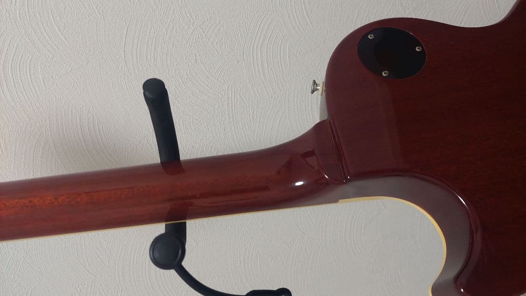 FUJIGEN(FGN) NLS101-AG 2011年製 ゴールドトップ